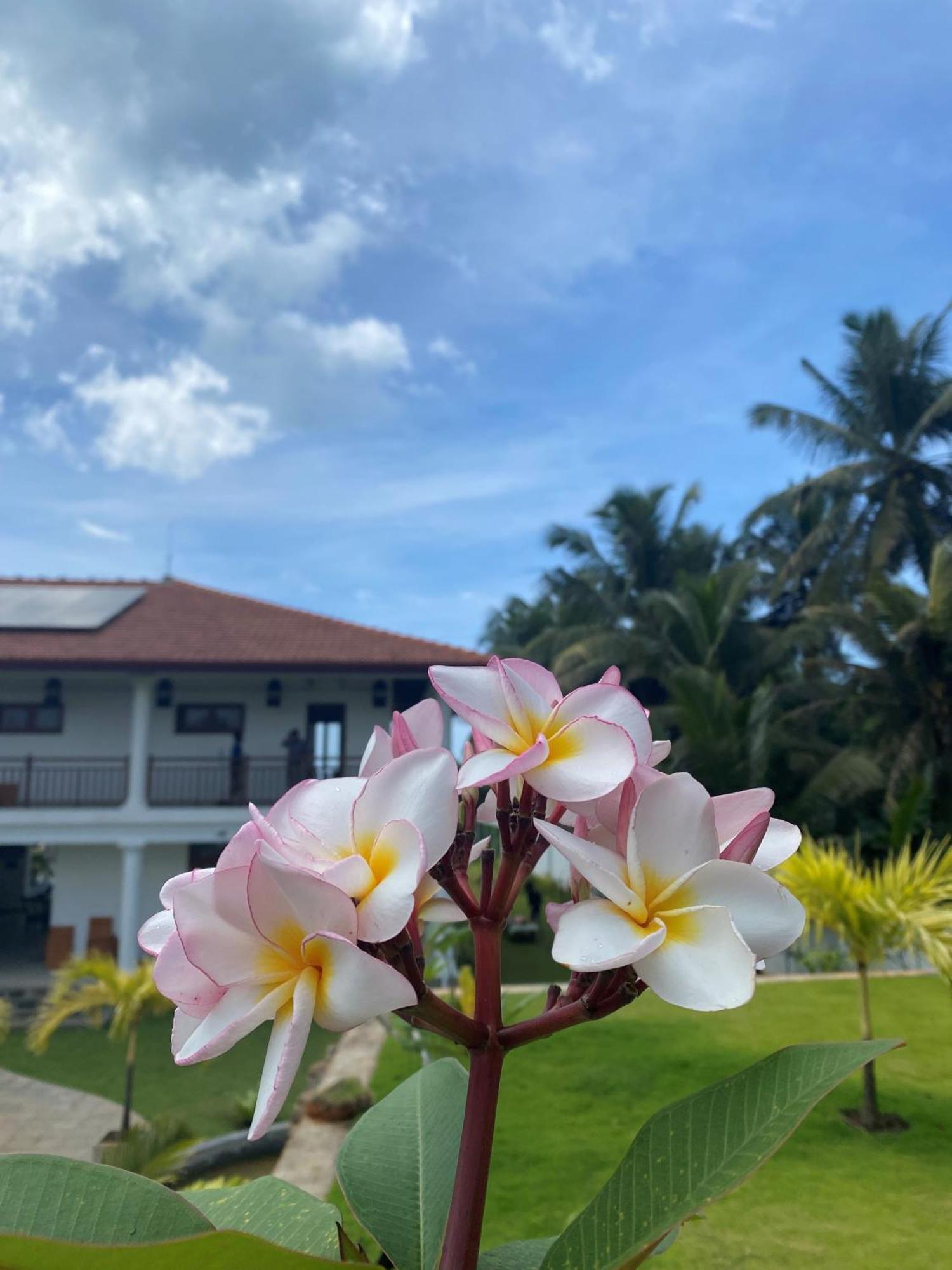 Sea Star Boutique Hotel Hikkaduwa Exterior foto